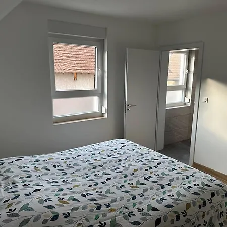 Europapark A 11km Maison Soleil Climatise Tatil Evi Friesenheim