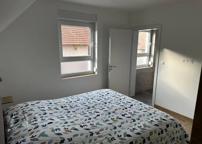 Europapark A 11km Maison Soleil Climatise Σπίτι διακοπών Friesenheim