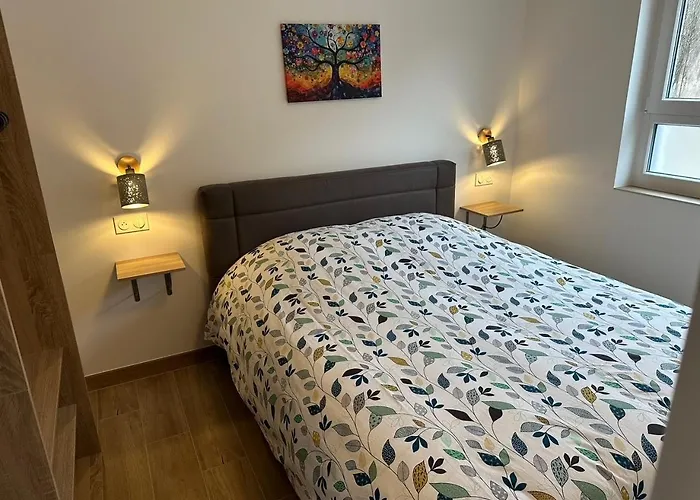 Europapark A 11km Maison Soleil Climatise